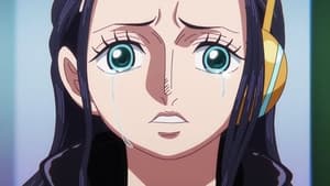 One Piece Zakazany kawałek historii! Teoria dotycząca królestwa