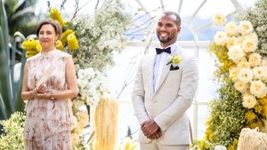 Married at First Sight Odcinek 14
