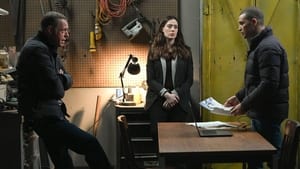 Chicago P.D. Odcinek 9