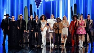 The Voice Odcinek 17
