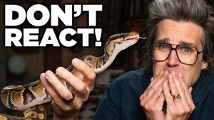 Good Mythical Morning Odcinek 81
