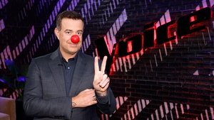 The Voice Odcinek 20