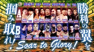 New Japan Pro Wrestling Odcinek 30