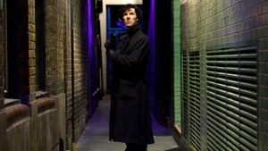 Sherlock Studium w różu
