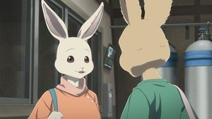 BEASTARS Urodzony wiosną