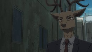 BEASTARS Bambi żyje i ma się świetnie