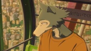 BEASTARS Miłość ponad żądzami
