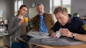 Die Rosenheim-Cops Odcinek 15
