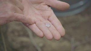 Klątwa Wyspy Dębów Odcinek 13