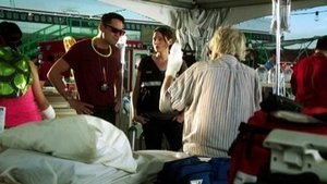 CSI: Kryminalne zagadki Las Vegas Dzikie kwiaty