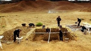 CSI: Kryminalne zagadki Las Vegas Nadgorliwa śledcza