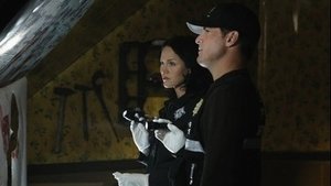 CSI: Kryminalne zagadki Las Vegas Bardzo mroczny dom