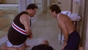 Kroniki Seinfelda Odcinek 8