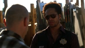 CSI: Kryminalne zagadki Las Vegas Sekrety i muchy