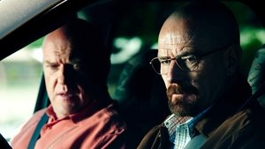 Breaking Bad Pluskwa