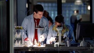 CSI: Kryminalne zagadki Las Vegas Śmierć na ulicy