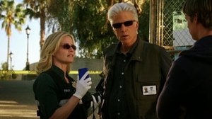 CSI: Kryminalne zagadki Las Vegas Korzystny trend