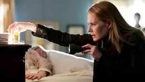 CSI: Kryminalne zagadki Las Vegas Teoria wszystkiego