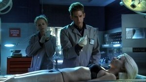 CSI: Kryminalne zagadki Las Vegas Miasto grzechu