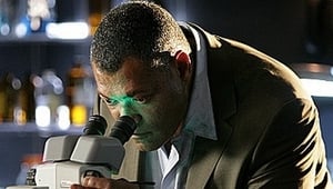 CSI: Kryminalne zagadki Las Vegas W pułapce