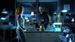 CSI: Kryminalne zagadki Las Vegas Nibylandia