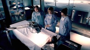 CSI: Kryminalne zagadki Las Vegas Wymierzona sprawiedliwość