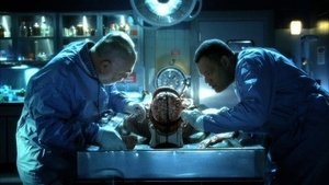 CSI: Kryminalne zagadki Las Vegas Wyścig z czasem
