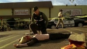 CSI: Kryminalne zagadki Las Vegas 418/427