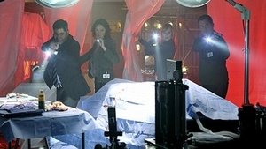 CSI: Kryminalne zagadki Las Vegas Finał na wiolonczelę
