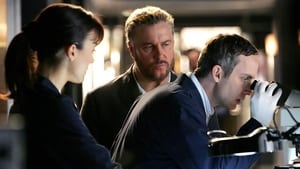 CSI: Kryminalne zagadki Las Vegas Tysiąc dni życia