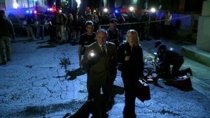 CSI: Kryminalne zagadki Las Vegas Sprawy rodzinne