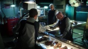 CSI: Kryminalne zagadki Las Vegas Ryzykowna klasa biznesowa
