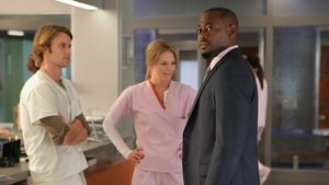 Dr House Emancypacja