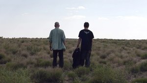 Breaking Bad Użądlony przez martwą pszczołę