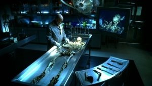 CSI: Kryminalne zagadki Las Vegas Down (1)