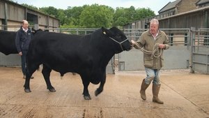 Farma Clarksona Bykowanie