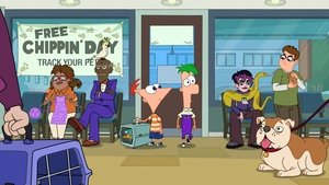 Fineasz i Ferb Odcinek 9
