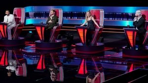 The Voice Odcinek 14