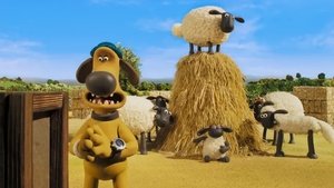 Baranek Shaun Odcinek 8