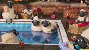Baranek Shaun Odcinek 14