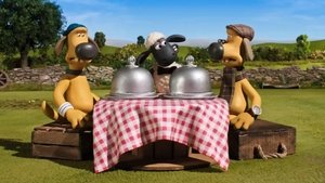 Baranek Shaun Odcinek 16
