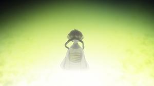 Mushishi Światło powiek