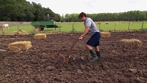 The Amazing Race Odcinek 11