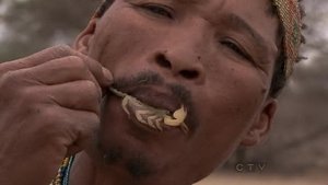 The Amazing Race Odcinek 6