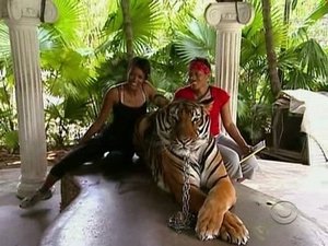The Amazing Race Odcinek 7