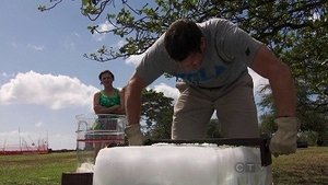 The Amazing Race Odcinek 12