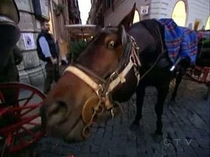 The Amazing Race Odcinek 7