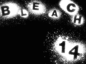 Bleach Odcinek 14