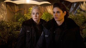 Rookie Blue Odcinek 10