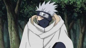 Naruto Shippuuden Odcinek 214